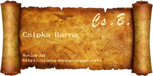 Csipka Barna névjegykártya